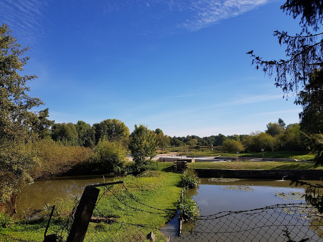 Comentarii opinii despre Prodej Ryb