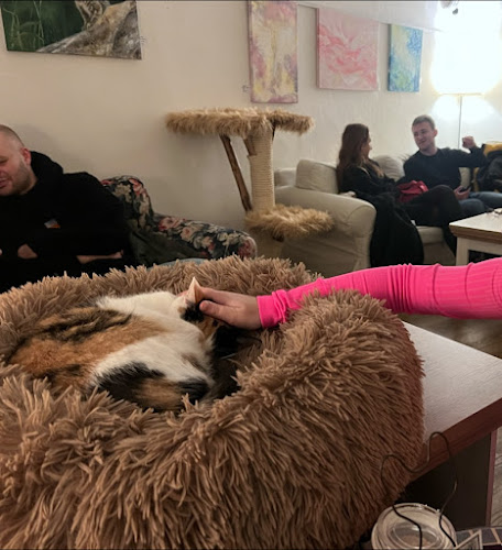 Michalská 430/3, 110 00 Staré Město