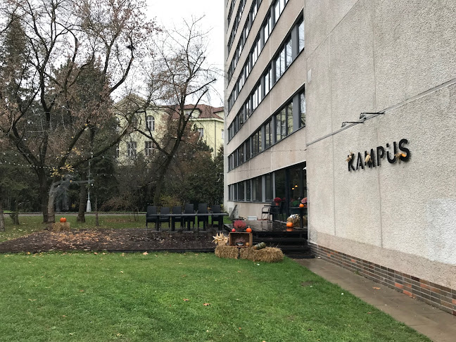 Comentarii opinii despre Kampus bistro