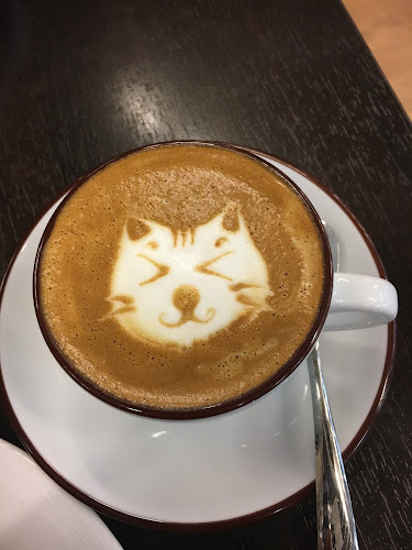 Lagarto Café - Gastronomie a pohostinství