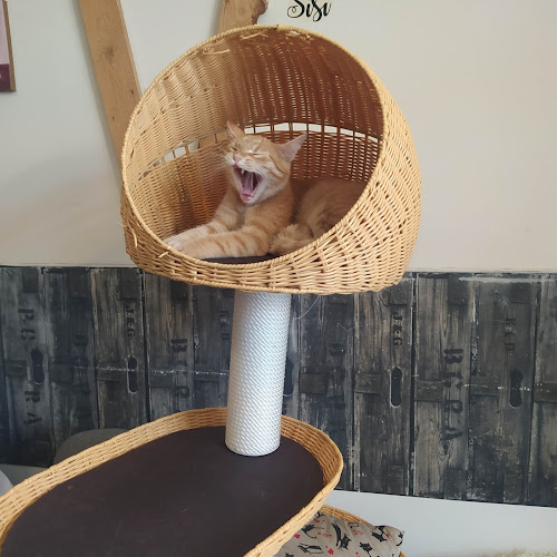 Pražská 72/33, 301 00 Plzeň 3-Východní Předměstí