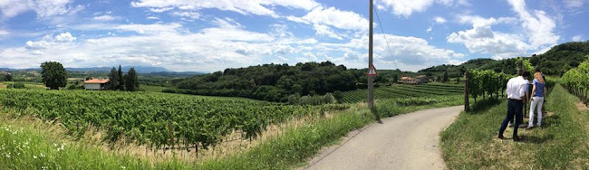 Tři zlaté růže spol. s r.o. - Vinohrady