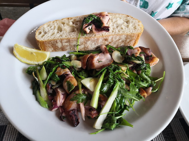 Rakovecká 1385/24, 635 00 Brno-Bystrc