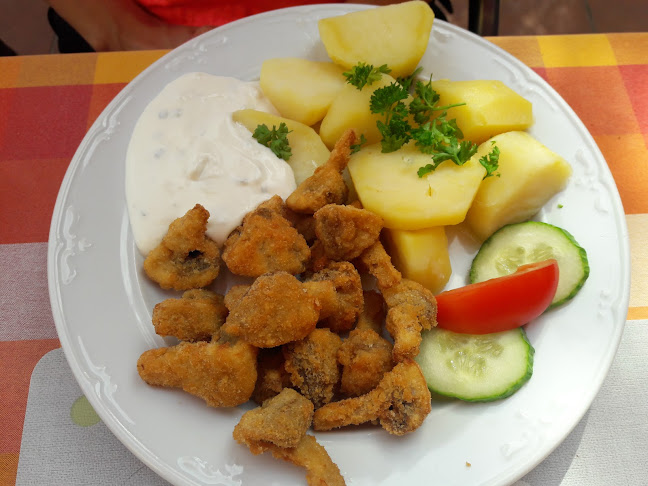 Opinii despre u Havlů în Ústí nad Labem - Gastronomie a pohostinství