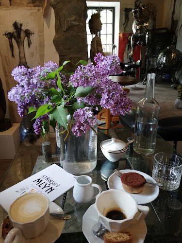 Comentarii opinii despre Kavárna a Galerie Stříbský mlýn