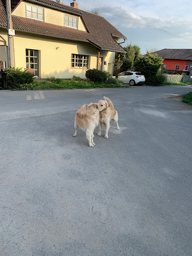 Sokolovna Lhota - Plzeň 10-Lhota