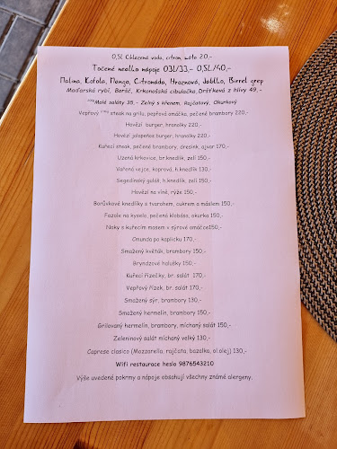 Restaurace Zlatá Brána - Gastronomie a pohostinství