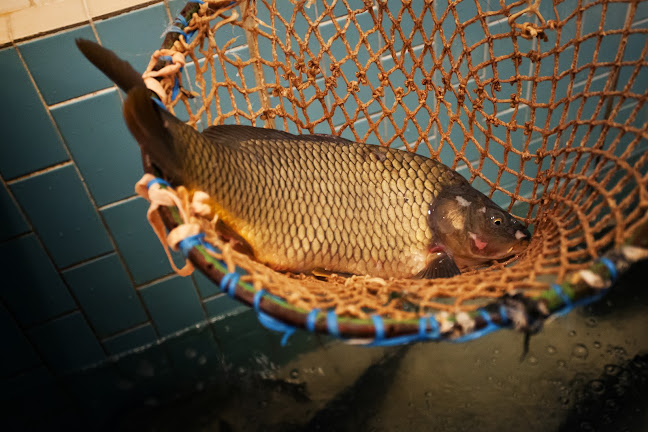 Orlí 520, 602 00 Brno-střed