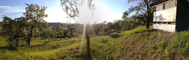 Vážany nad Litavou - Brno