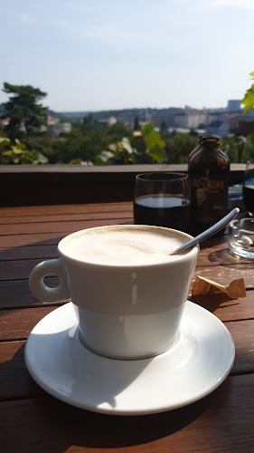 Havlíčkovy sady 1369, 120 00 Praha 2-Vinohrady