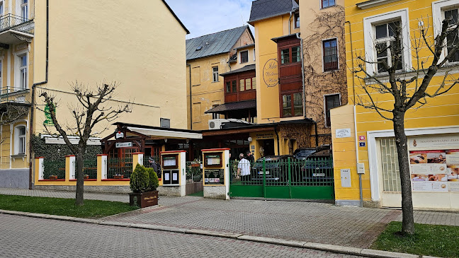 Restaurace Ida - Františkovy Lázně