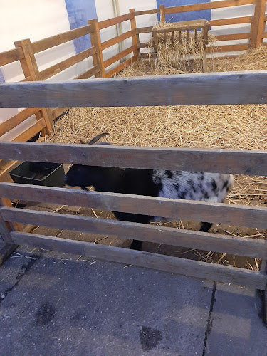 Střešovická 458/47, 162 00 Praha 6-Veleslavín