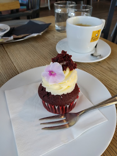 Comentarii opinii despre Cheecup