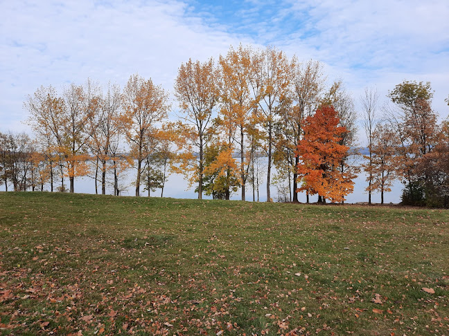 Kiosek Na Hrázi Rozkoš - Gastronomie a pohostinství