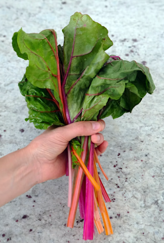 Zelená zahrada vegetariánská jídelna - Vrchlabí