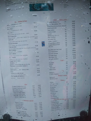 Comentarii opinii despre Restaurace Silesie