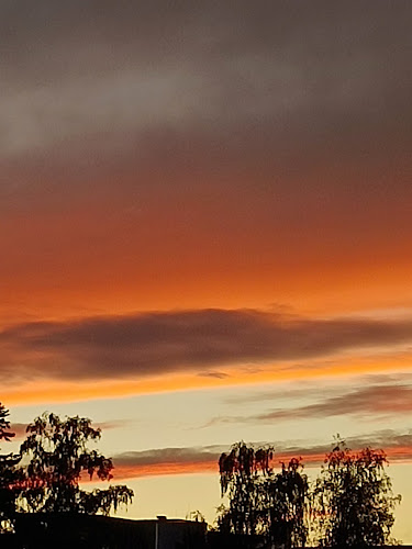 Comentarii opinii despre Restaurace Skleník