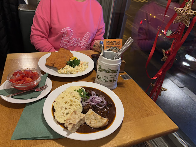 Demínka - Gastronomie a pohostinství