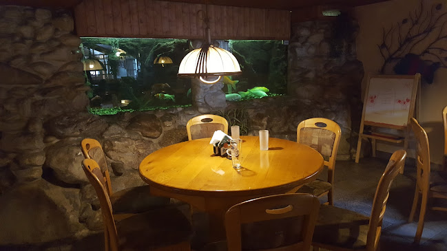 Comentarii opinii despre Restaurace Na Rybářské Baště