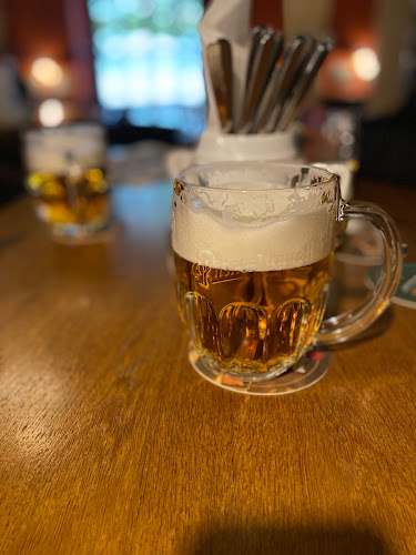 Opinii despre Tankovna Veselá Kachna în Praha 13 - Gastronomie a pohostinství