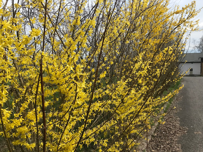 Rauchberg - Rumburk 1