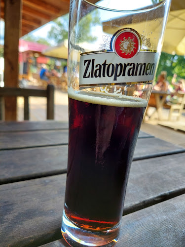 Opinii despre Restaurace Hamr în Praha - Gastronomie a pohostinství