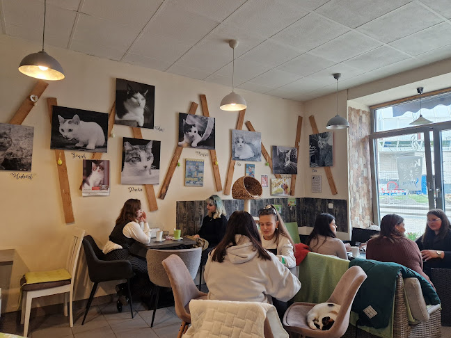 Pražská 72/33, 301 00 Plzeň 3-Východní Předměstí