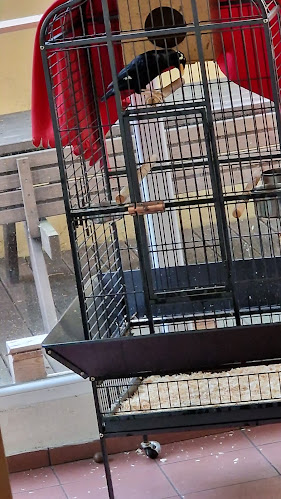 Pivovar Bašta - Praha