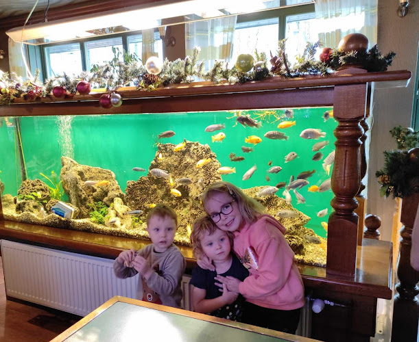 Restaurace Flora - Gastronomie a pohostinství