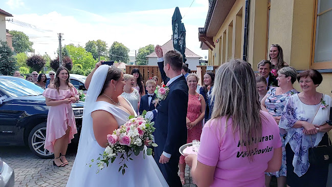 Restaurace Větřkovice - Gastronomie a pohostinství