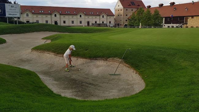 Opinii despre Greensgate Restaurant în Plzeň - Gastronomie a pohostinství