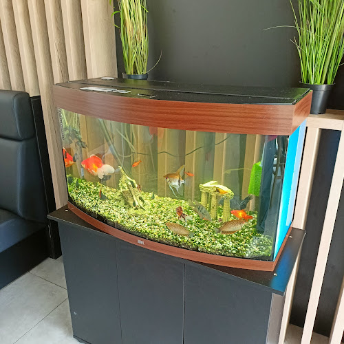 Comentarii opinii despre Kebab & Pizza ASWA