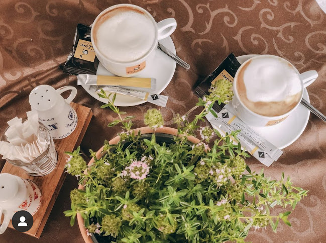 Restaurace Parlament Karlovy Vary - Gastronomie a pohostinství