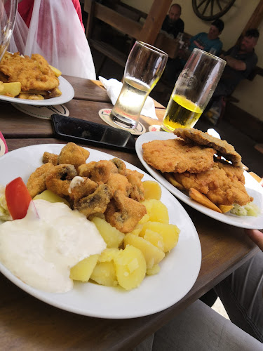 Nová Ves 2, 664 91 Nová Ves