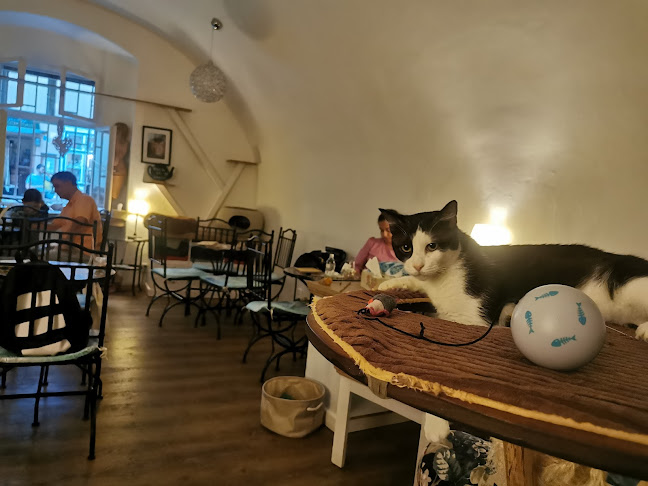 Kavárna Kočičí Praha - Gastronomie a pohostinství