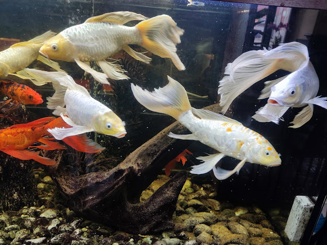 Nádražní 893/46, 150 00 Praha 5-Smíchov