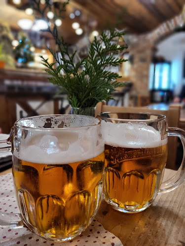 Comentarii opinii despre Hostinec Za Vodou