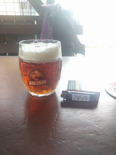 Comentarii opinii despre U Fausta