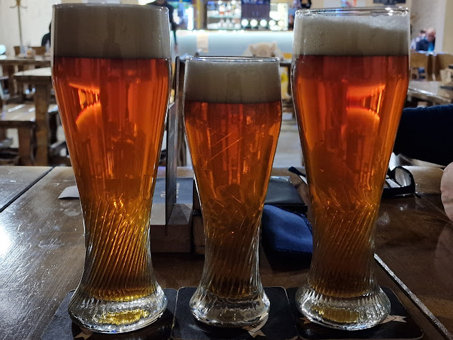 Opinii despre Žíznivý dromedár - Minipivovar a restaurace Ostrava în Ostrava - Gastronomie a pohostinství