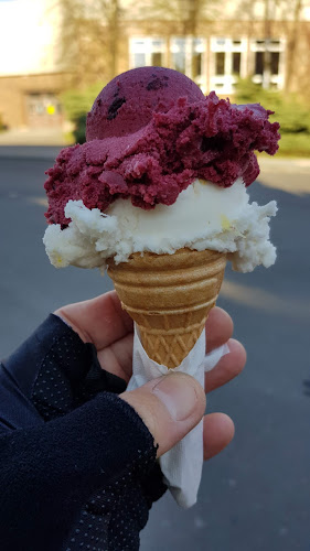 Comentarii opinii despre FRANZ JOSEF Bistro-Zmrzlina Děčín