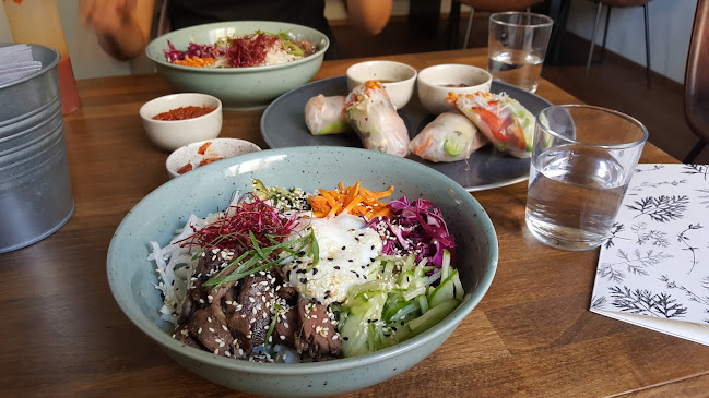 Botanická 605/19, 602 00 Brno-střed