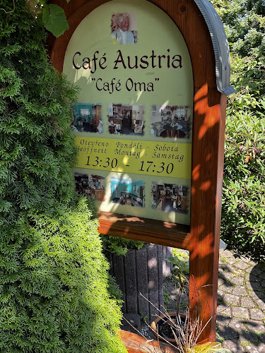 Pod Lipami 223, 351 01 Františkovy Lázně