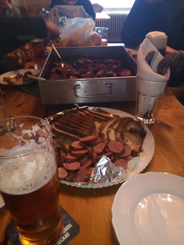 Opinii despre Hostinec Samiec în Ostrava - Gastronomie a pohostinství