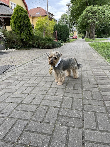 Cafe Austria - Gastronomie a pohostinství