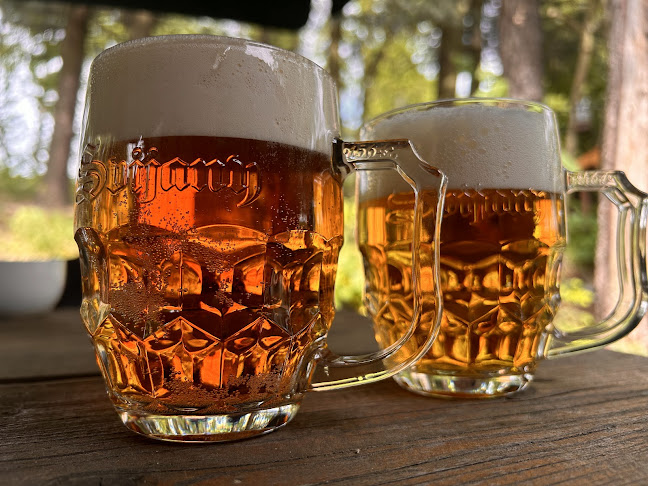 Opinii despre Restaurace Na Přehradě în Ostrava - Gastronomie a pohostinství