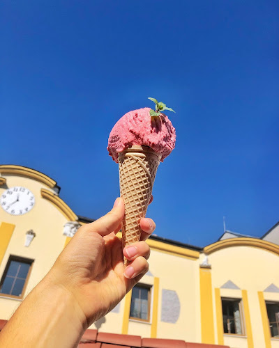 Comentarii opinii despre RustiC