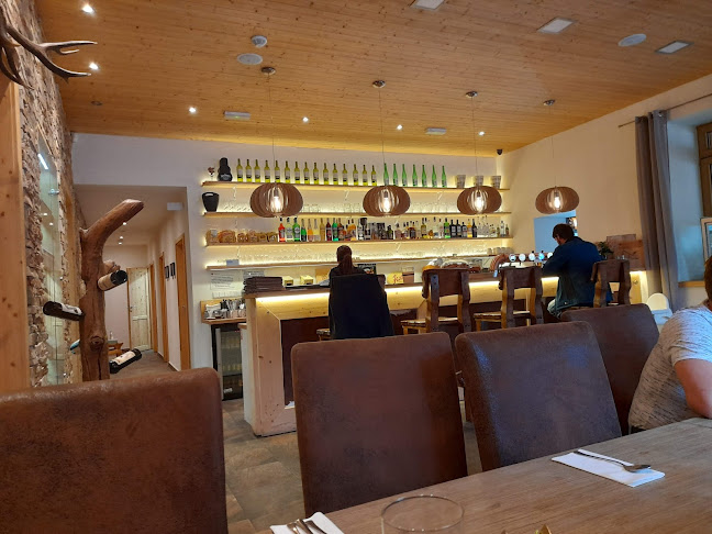 Comentarii opinii despre Restaurace a Penzion V Zátiší