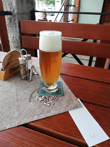 Opinii despre Hostinec U Dvora în Nový Hradec Králové - Gastronomie a pohostinství