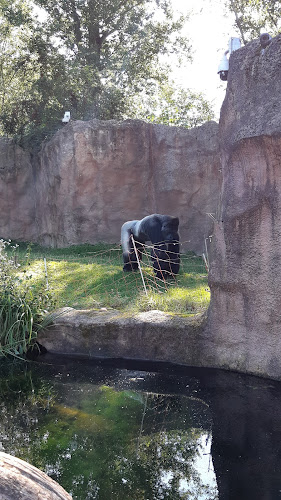 Občerstvení U Supa