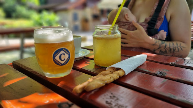 Opinii despre Černodolský mlýn în Chotiměř - Gastronomie a pohostinství